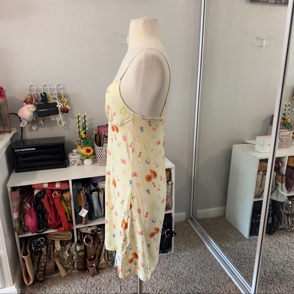 Djerf Avenue Fruit Dress - Picture 5 of 8